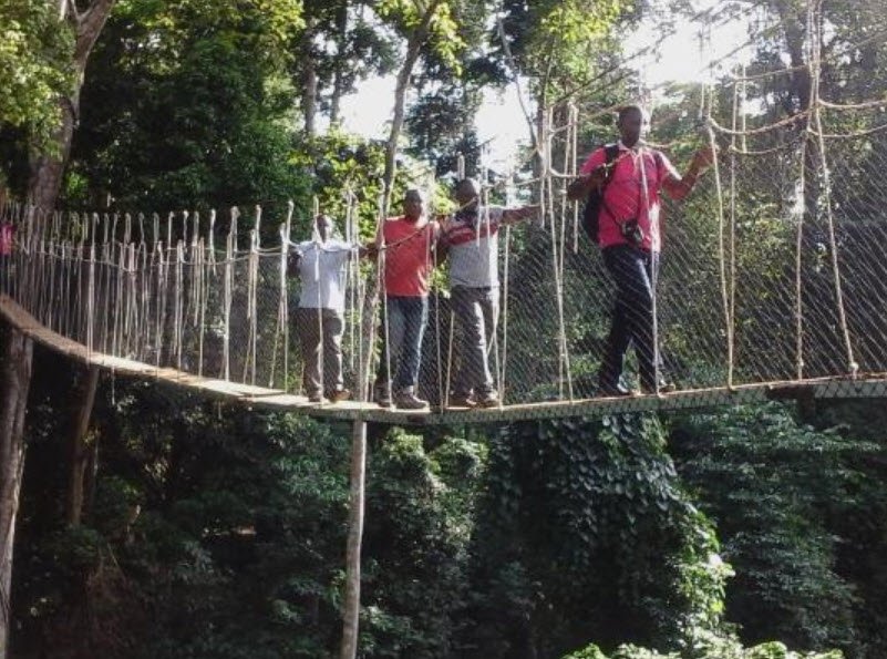 Bunso Arboretum, Bunso, Ghana, Ghana